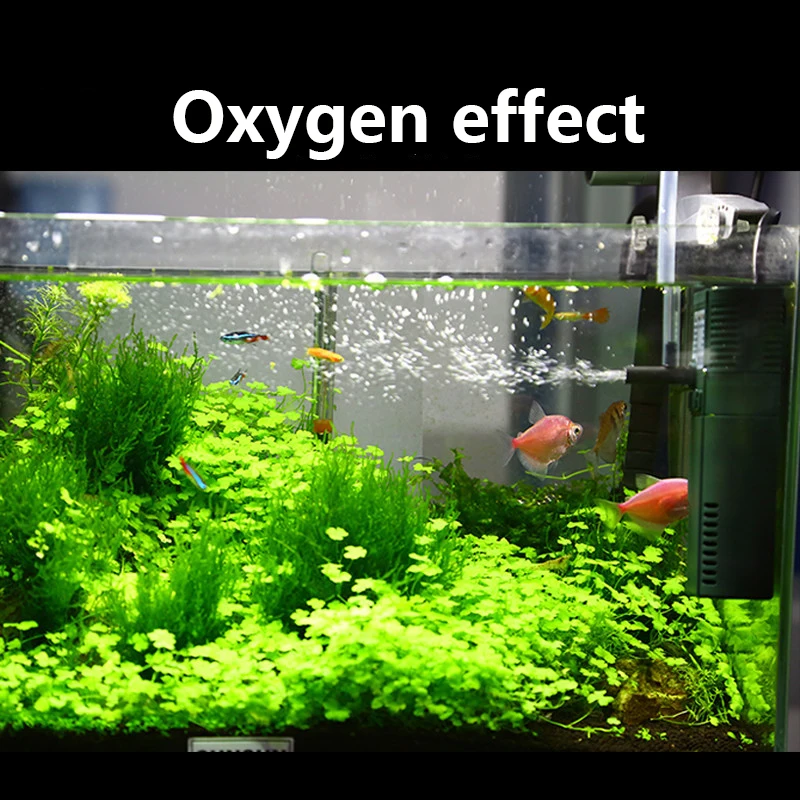 SUNSUN mini nano 111B 311B 611 - огляд і ціна Marine Aquarium Design